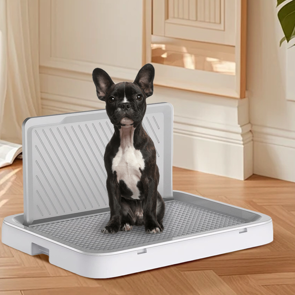 Hundetoilette mit Urinwand, Tr – Bench Dog Hole Bewertung und Preis