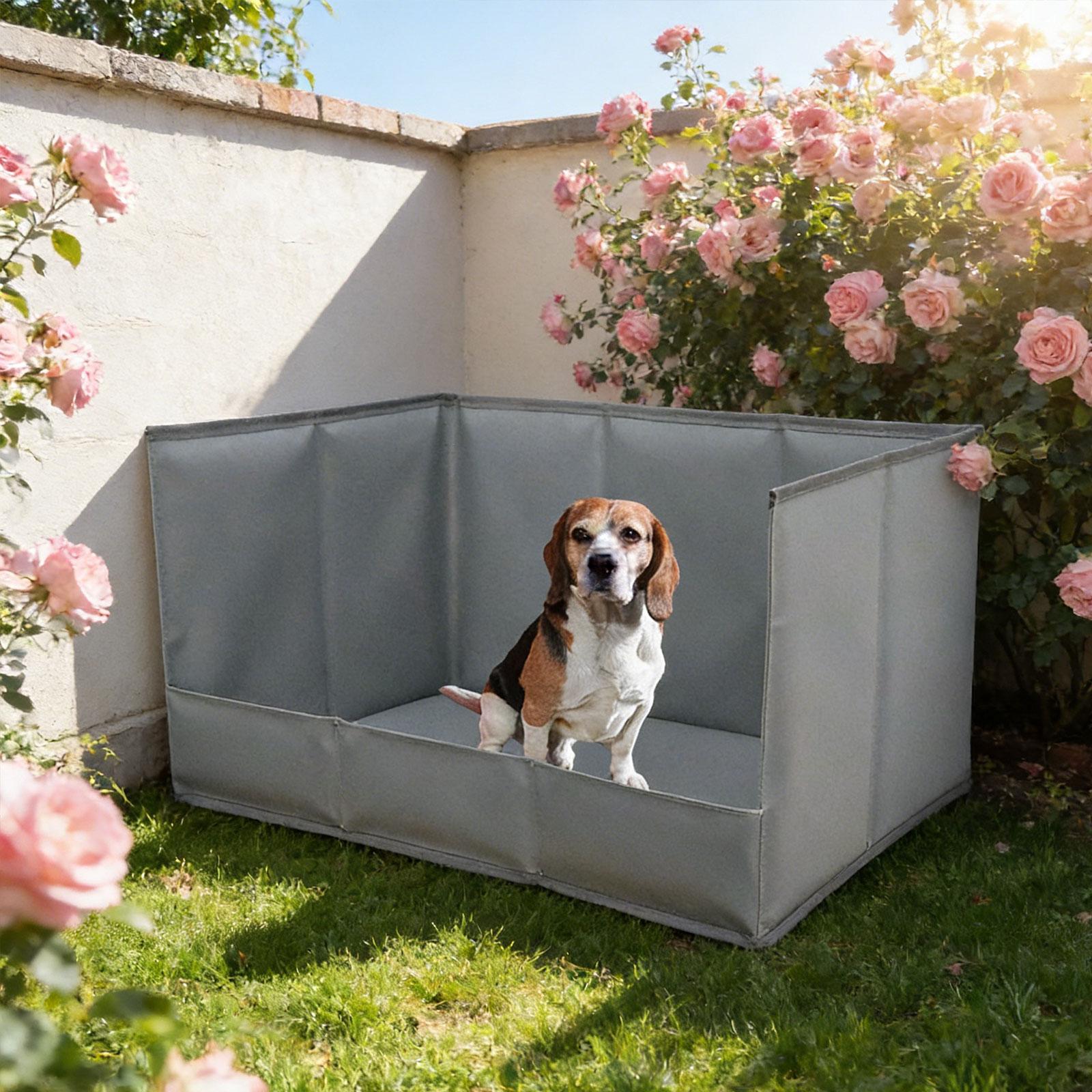 Tragbare Indoor-Hundetoilette  – Bench Dog Hole Bewertung und Preis