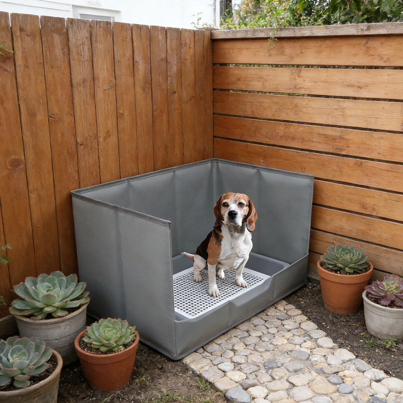 Tragbare Indoor-Hundetoilette  – Bench Dog Hole Bewertung und Preis